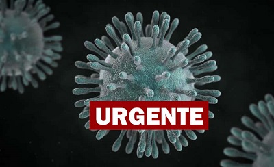 Platão Regional