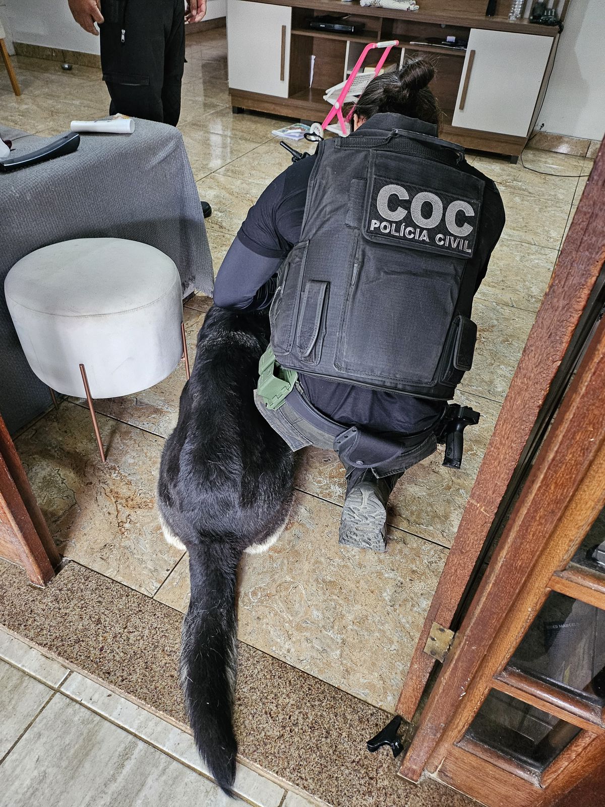 Platão Regional