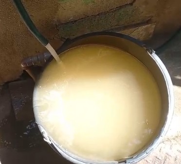 Platão Regional