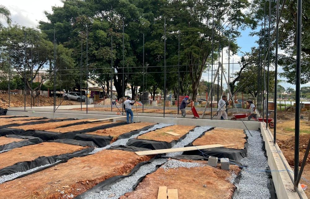 Platão Regional
