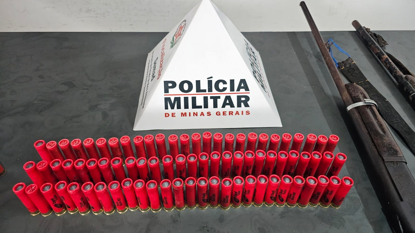 Platão Regional