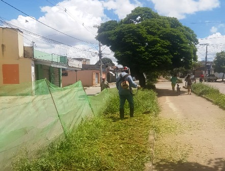 Platão Regional