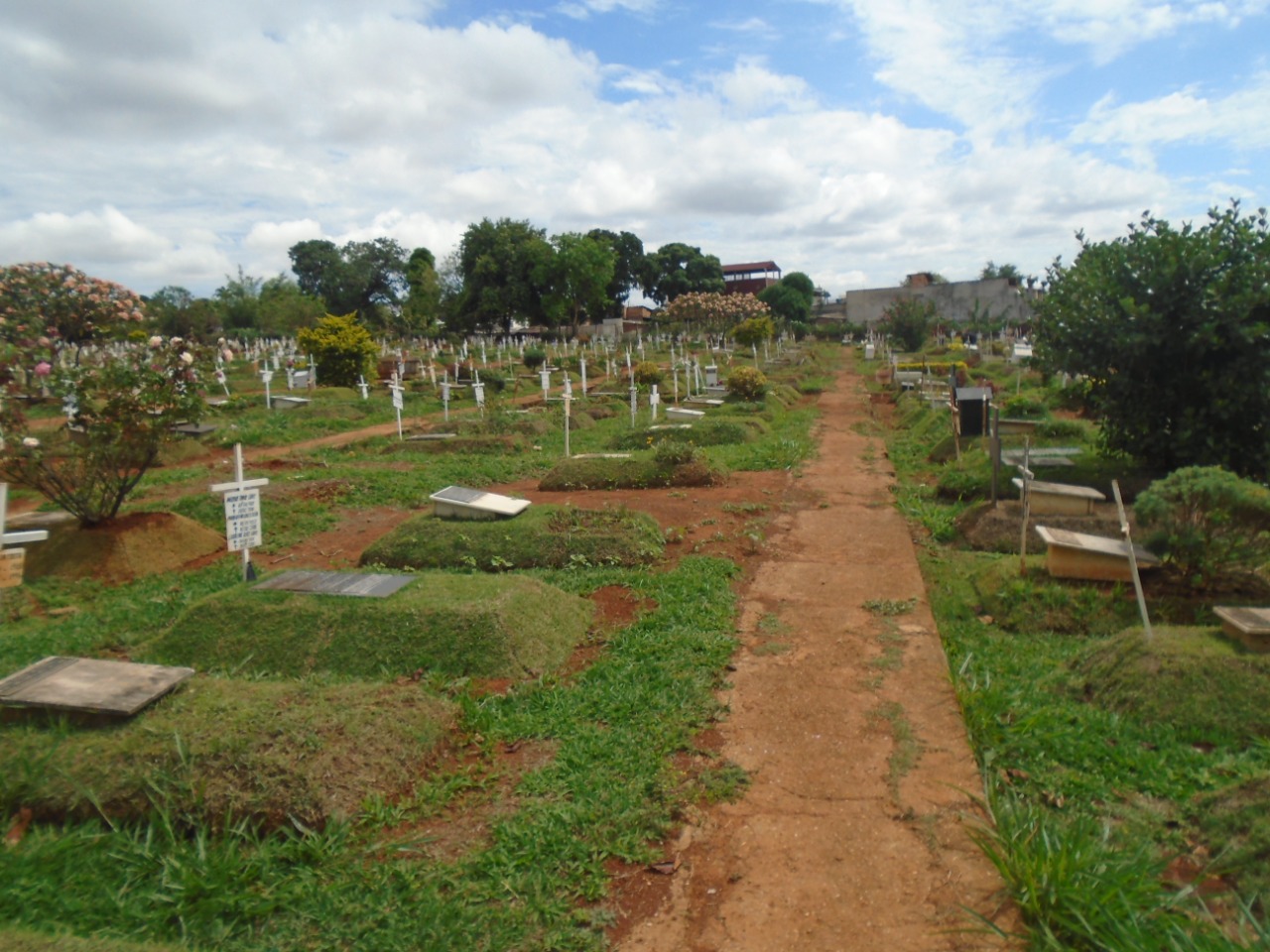 Platão Regional