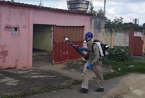 Platão Regional