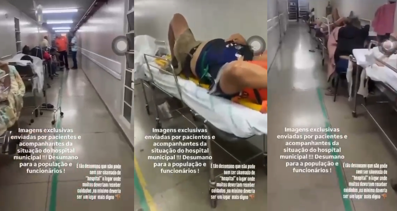 Platão Regional