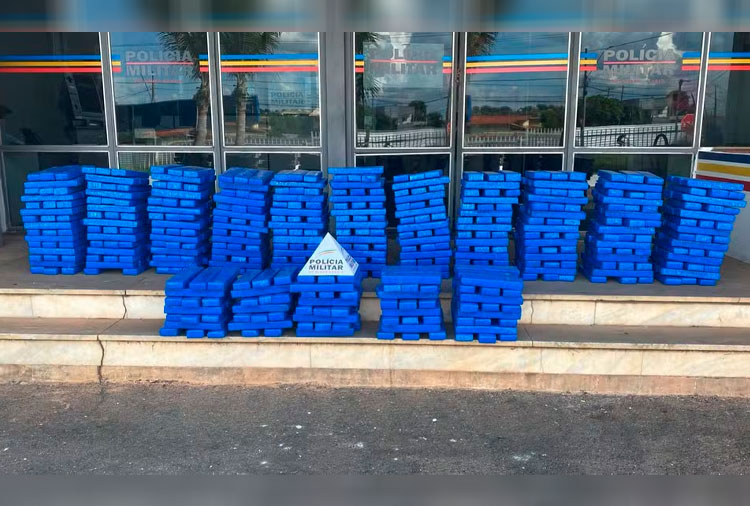 Platão Regional