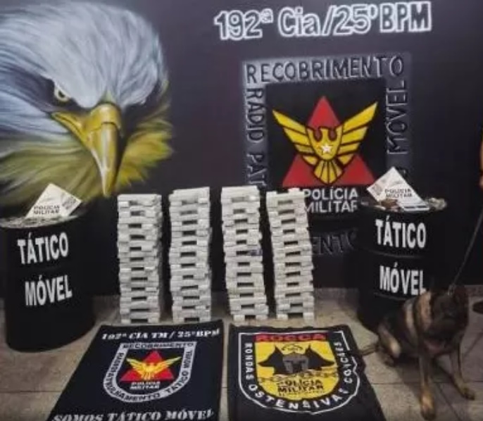 Platão Regional