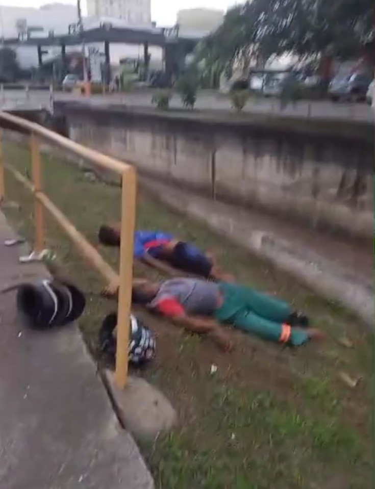 Platão Regional