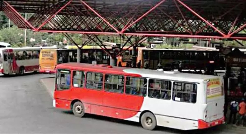 Platão Regional