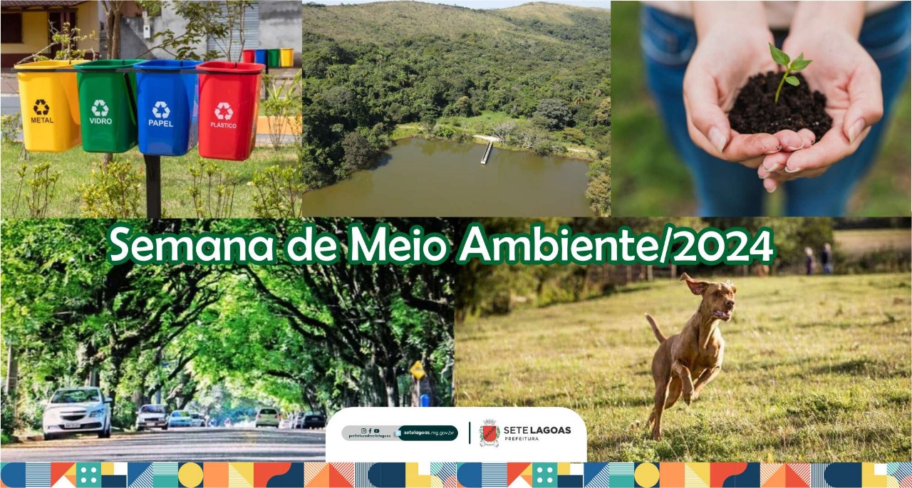 Platão Regional